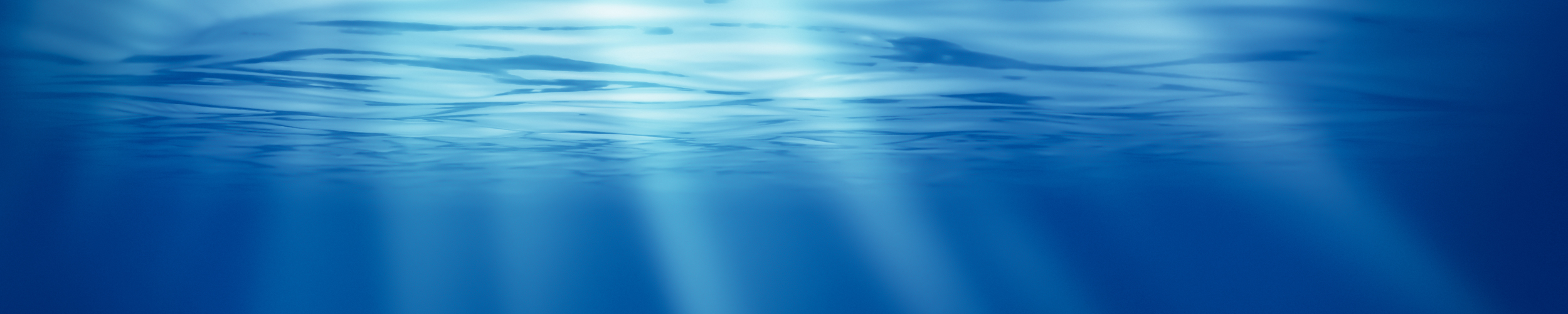 page-header-Phoenix-International-Locations-2500-500 About Us | Miluc International Holdings, Inc. (Miluc) is an employee-owned, ISO 9001:2015 Management System certified marine services contractor providing worldwide manned and unmanned underwater operations and engineering services to a diverse set of clients worldwide.